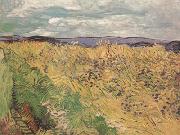 Vincent Van Gogh Whear Field with Cornflowers (nn04) France oil painting artist